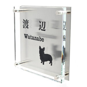 \D̃AgG KX\D XeX 150x150mm 񂱂ƈꏏiIׂ錢j yHLS_DUzyRCPzyyMt_zyyMt_z attr81attr ctgr1ctgr sml8sml+ctgr1ctgr DOG