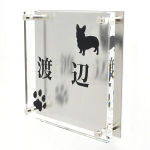 \D̃AgG KX\D XeX 150x150mm 񂱂ƈꏏiIׂ錢j2 yHLS_DUzyRCPzyyMt_zyyMt_z attr81attr ctgr1ctgr sml8sml+ctgr1ctgr DOG