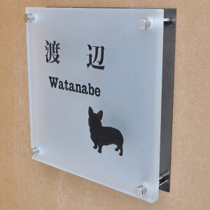 \D̃AgG KX\D KX ubNXeX 150x150mm 񂱂ƈꏏiIׂ錢j yHLS_DUzyRCPzyyMt_zyyMt_z attr95attr ctgr1ctgr sml8sml+ctgr1ctgr DOG