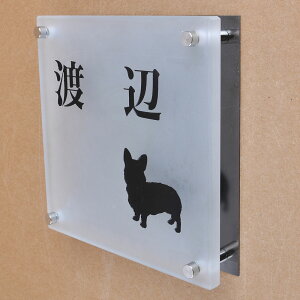 \D̃AgG KX\D KX ubNXeX 150x150mm 񂱂ƈꏏiIׂ錢j2 yHLS_DUzyRCPzyyMt_zyyMt_z attr95attr ctgr1ctgr sml8sml+ctgr1ctgr DOG