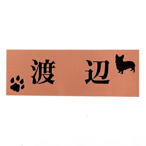 \D̃AgG 145x50 X^_[h(uY) Gb`OH 񂱂ƈꏏiIׂ錢j t2 yHLS_DUzyRCPzyyMt_zyyMt_z attr103attr ctgr1ctgr sml4sml+ctgr1ctgr DOG