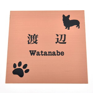 \D̃AgG 150x150 X^_[h(uY) Gb`OH 񂱂ƈꏏiIׂ錢j t yHLS_DUzyRCPzyyMt_zyyMt_z attr105attr ctgr1ctgr sml4sml+ctgr1ctgr DOG