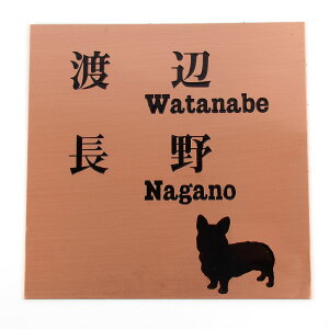 \D̃AgG 150x150 X^_[h(uY) Gb`OH 񂱂Ƃ@񐢑їp yHLS_DUzyRCPzyyMt_zyyMt_z attr105attr ctgr1ctgr sml4sml+ctgr1ctgr DOG