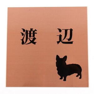 \D̃AgG 150x150 X^_[h(uY) Gb`OH 񂱂ƈꏏiIׂ錢j2 yHLS_DUzyRCPzyyMt_zyyMt_z attr105attr ctgr1ctgr sml4sml+ctgr1ctgr DOG