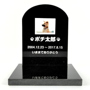 Pet&Love. ybĝ VRΐ Zbg^ et^Cv e΁@ubN X^_[hiql̎ʐ^j yHLS_DUzyRCPzyyMt_zyyMt_z attr169attr ctgr2ctgr sml3sml+ctg
