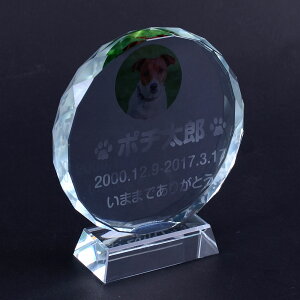 Pet&Love. ybĝ KX ql̃ybgʐ^ I[_[Ch bZ[WύX\ ~`^Cv@LLLTCY@22cm J[|Cg yHLS_DUzyRCPzyyMt_zyyMt_