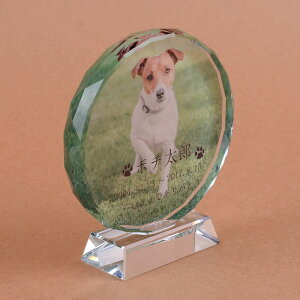 Pet&Love. ybĝ KX ql̃ybgʐ^ I[_[Ch bZ[WύX\ ~`^Cv@LTCY@17cm S̃J[ yHLS_DUzyRCPzyyMt_zyyMt_z att