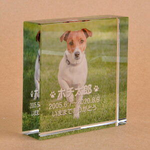 Pet&Love. ybĝ KX ql̃ybgʐ^ I[_[Ch bZ[WύX\ u^ ^ 70x70x20mm S̃J[ yHLS_DUzyRCPzyyMt_zyyMt_z attr56attr 