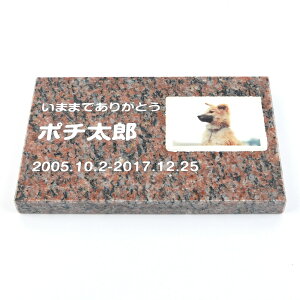 Pet&Love. ybĝ VRΐ Vv^ et^Cv e΁@bh@ 200x130mm(20mm) iql̎ʐ^j yHLS_DUzyRCPzyyMt_zyyMt_z attr168attr ctgr2ctgr sml3