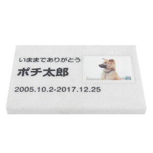 Pet&Love. ybĝ VRΐ Vv^ et^Cv e΁@zCg@ 200x130mm(20mm) iql̎ʐ^j yHLS_DUzyRCPzyyMt_zyyMt_z attr168attr ctgr2ctgr s