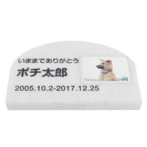 Pet&Love. ybĝ VRΐ Vv^ et^Cv 嗝΁@zCg@A[` 200x130mm(20mm) iql̎ʐ^j yHLS_DUzyRCPzyyMt_zyyMt_z attr168attr ct