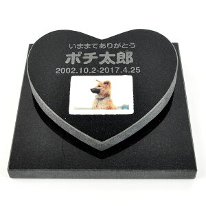 Pet&Love. ybĝ VRΐ Zbg^ et^Cv e΁@ubN n[g@v[iql̎ʐ^j yHLS_DUzyRCPzyyMt_zyyMt_z attr169attr ctgr2ctgr sml3s