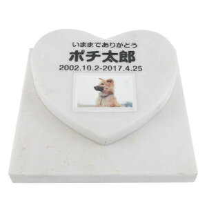 Pet&Love. ybĝ VRΐ Zbg^ et^Cv e΁@zCg n[giql̎ʐ^j yHLS_DUzyRCPzyyMt_zyyMt_z attr169attr ctgr2ctgr sml3sml+ctgr2ctgr no