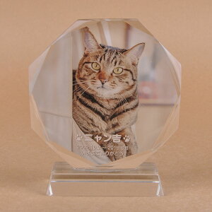 Pet&Love. ybĝ KX ql̃ybgʐ^ I[_[Ch bZ[WύX\ ~`^Cv@LLLTCY@22cm @Lf@S̃J[ yHLS_DUzyRCPzyyMt_zyyM
