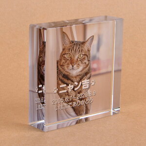 Pet&Love. ybĝ KX ql̃ybgʐ^ I[_[Ch bZ[WύX\ u^ 70x70x20mm S̃J[@Lf yHLS_DUzyRCPzyyMt_zyyMt_z att