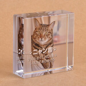 Pet&Love. ybĝ KX ql̃ybgʐ^ I[_[Ch bZ[WύX\ u^ ^ 50x50x20mm S̃J[@Lf yHLS_DUzyRCPzyyMt_zyyMt_