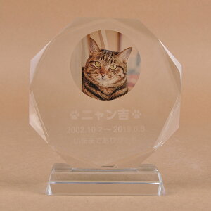 Pet&Love. ybĝ KX ql̃ybgʐ^ I[_[Ch bZ[WύX\ ~`^Cv@LLLTCY@22cm J[|Cg Lf yHLS_DUzyRCPzyyMt_z