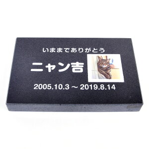 Pet&Love. ybĝ VRΐ Vv^ et^Cv e΁@ubN@ 200x130mm(20mm) `ʐ^^Cviql̎ʐ^jLf yHLS_DUzyRCPzyyMt_zyyMt_