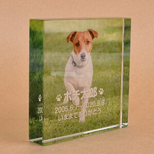 Pet&Love. ybĝ KX ql̃ybgʐ^ I[_[Ch bZ[WύX\ u^ ^ 100x100x20mm S̃J[ yHLS_DUzyRCPzyyMt_zyyMt_z attr56att