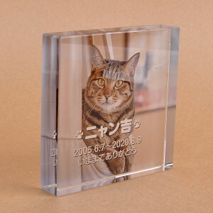 Pet&Love. ybĝ KX ql̃ybgʐ^ I[_[Ch bZ[WύX\ u^ ^ 100x100x20mm S̃J[ Lp yHLS_DUzyRCPzyyMt_zyyMt_z at