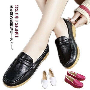 ؂ JV H~ y h Xb| Xb| N {v [t@[  V[Y ۉ pvX JWA fB[X tbg y  h ₷ ɂȂ 