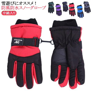 ut  XL[ LbY ܖ{w  V h V w h j̎q zF oCJ[ 킢 Vv ~ H~ 5{w Ԃ O[u uJtX  ̎q h 