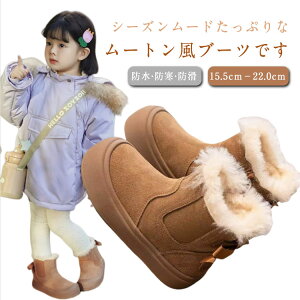 LbY {Au[c {A Xm[u[c TChSAu[c ɒg V[gu[c Ȃ {t t@[ [gu[c q N y h  ̎q h ۉ  JWA