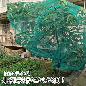 Iׂ13TCYIhlbg ʎ 悯lbg ؉ x_悯lbg h 悯 h _앨 c ʎ  x_ S~u ng JX qh XY    ΍ L