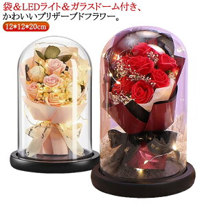 ̓ v[g  vU[uh t[ KXh[ u[P \[vt[ Cgt ͂Ȃ  Mtg a j LO zCgf[ Əj } ʉ j