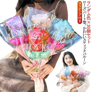 XeBbNo[ n[g [Y o[ 30Zbg  n[go[ 莝o[ ƃo[ ԑ o[u[P tHg  ʐ^Be a D tBD t