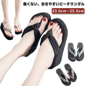 r[`T_ fB[X 6.5cm ԕ y gOT_  T_ fB[X ɂȂ  ₷ W[p ^Ep  r[T  s EFbW\[  