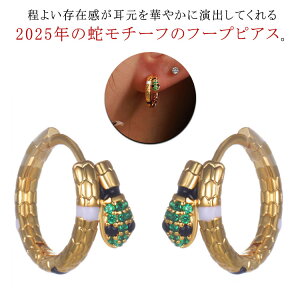  sAX S[h t[vsAX ^b`sAX fB[X ANZT[ ^b`ZOgO EȒP 2025 i Mtg v[g 蕨 a