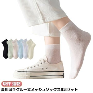 6Zbg  \bNX  C N[ fB[X ėp  bV   w q Z XN[  z   ʋ ʊw Ȃ LȂ R hL n Jt