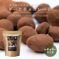 【スーパーSALE特別価格！30％OFF】【レギュラーサイズ】有機カカオビーンチョコレート 110g 1袋 ペルー…