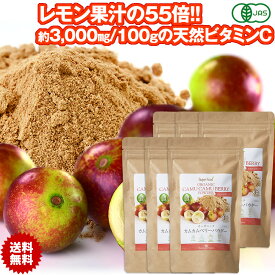 有機カムカムベリーパウダー 100g 6袋 天然のビタミンC レモン果汁55倍　有機JASオーガニック ペルー産