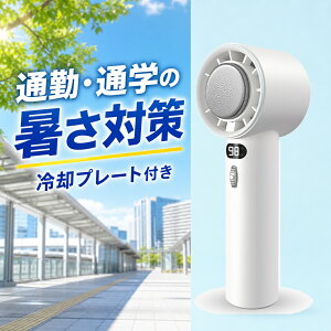 �g�ѐ�@ ��p�v���[�g 100�i�K���� 3000mAh Type-C �ʋ� �ʊw �n���f�B�t�@�� �I�t�z���C�g