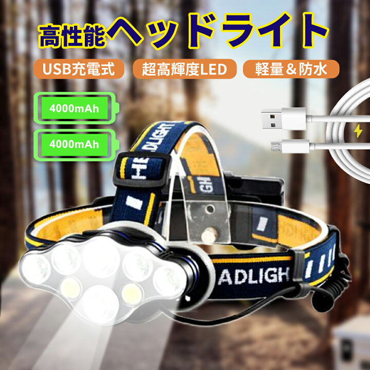 楽天市場】【新春初売りSALE価格！最強配送】（充電電池付き）最新版