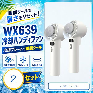 WX639 ��p�v���[�g�t�� �n���f�B�t�@�� 2��Z�b�g �A�C�{���[�z���C�g 100�i�K���� 3000mAh Type-C�[�d �莝�� ��� �����΍�