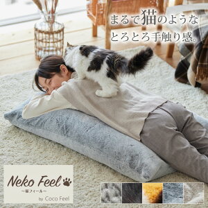 ܂ŔL̂悤ȃttrbONbViLFeelj傫 NbV ӂӂ ӂӂ tt rbgt@[ LtB[ ѕz L̎G L̖ L  ˂ LAM[ 