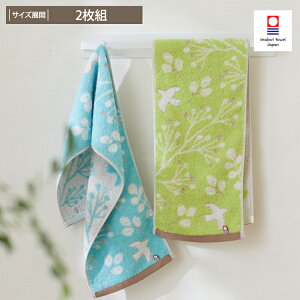  @XtFCX^I o[h`[t 2FZbg ^I k 2g Y {  100 ^I ΂Ȃ ~jTCY 20×80cm