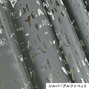 y |Cg2{I10/4 20:00`23:59 z  ͂ |GXe At@xbg n  n140cm 10cmP ؂蔄 ̓ y v L obO |[` В g[gobO GR