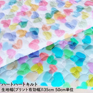 y 12/5̓|Cg3{I z LeBOn LeBO n Lg  \n100% Rbg n[gn[gLg vg ؍ n135cm vgL 50cmP ؂蔄 ̓ f