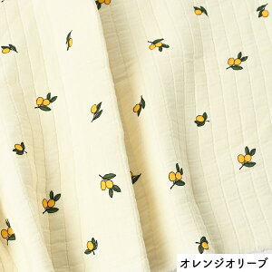 y 11/10̓|Cg3{I z K[[ 3d 3dK[[  100 Rbg vg n  n160cm 10cmP ؂蔄 ̓ L z ʋC N} ETM I[u xr[pi X