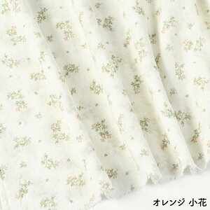 y 11/1̓|Cg3{I z t[vg ȃ[ n ؍ obO n130cm 50cmP ؂蔄 ̓ ԕ WFvg i`vg 炳 Ђ _炩