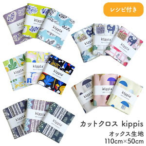 JbgNX kippis LbsX IbNXn Vst ̓