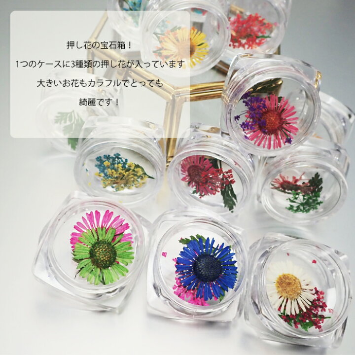 楽天市場 押し花クリスタルボックス 15種類 ドライフラワー 葉っぱ リーフ 小花 かすみ草 マーガレット ジェルネイル ネイル アクリル ハーバリウム アソート Cocoro Nail 楽天市場店