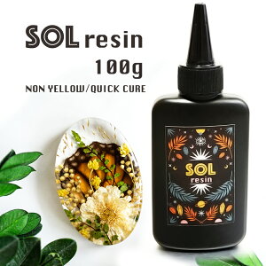 SOL RESIN 100g ソルレジン UVレジン レジン液 大容量 ノンワイプ LED UV樹脂 樹脂 ハンドメイド レジン
