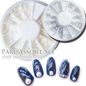 VFǉIp[6TCYA\[gZbg rbOp[ lCp[ 1.5mm 2mm 3mm 4mm 5mmp[lߍ킹 WAlCAfRɁI P[Xt