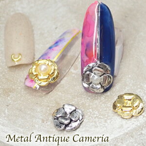 ^JA (10) JA ^p[c  t[ AeB[N Vo[ lC W nhCh ANZ