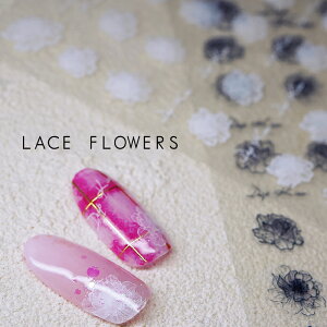 02 [Xt[lCV[   ` lCV[ WFlC ԃlC EFfBO i